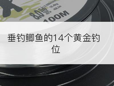 垂钓鲫鱼的14个黄金钓位