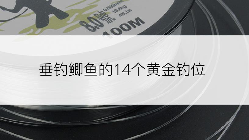 垂钓鲫鱼的14个黄金钓位