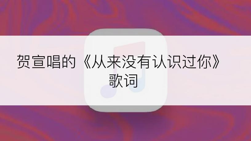 贺宣唱的《从来没有认识过你》歌词