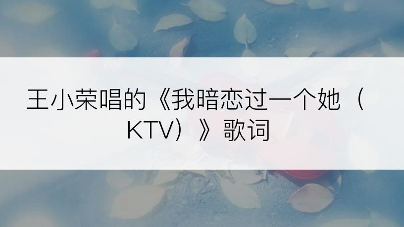 王小荣唱的《我暗恋过一个她（KTV）》歌词