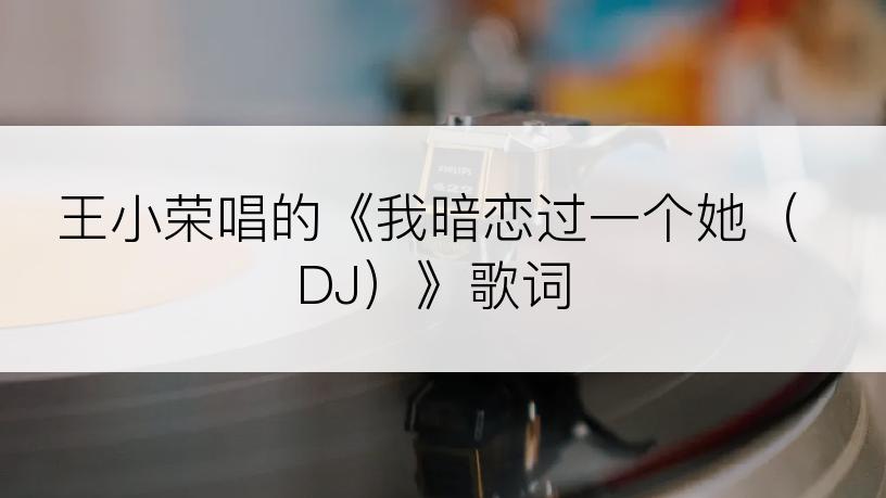 王小荣唱的《我暗恋过一个她（DJ）》歌词