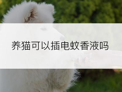 养猫可以插电蚊香液吗