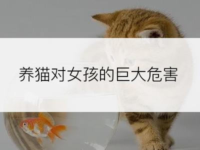 养猫对女孩的巨大危害