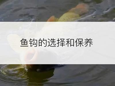 鱼钩的选择和保养