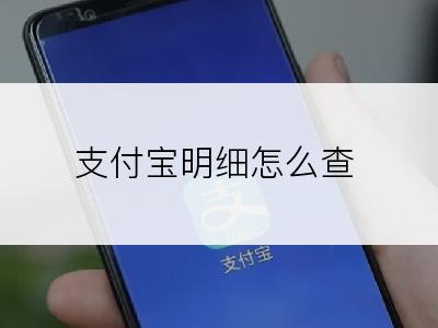 支付宝明细怎么查