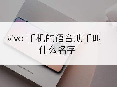 vivo 手机的语音助手叫什么名字