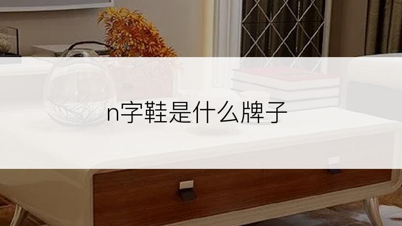 n字鞋是什么牌子