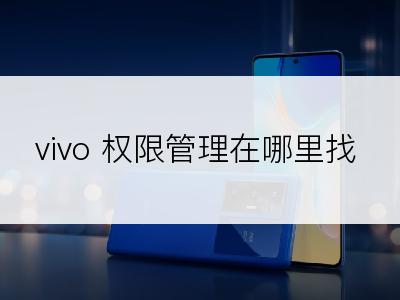 vivo 权限管理在哪里找