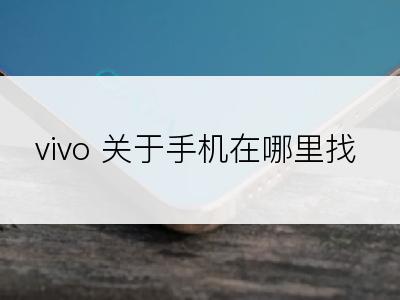 vivo 关于手机在哪里找