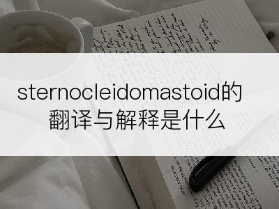 sternocleidomastoid的翻译与解释是什么