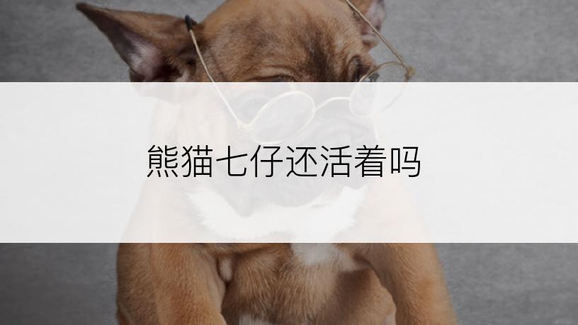 熊猫七仔还活着吗