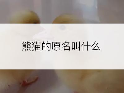 熊猫的原名叫什么