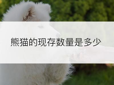 熊猫的现存数量是多少