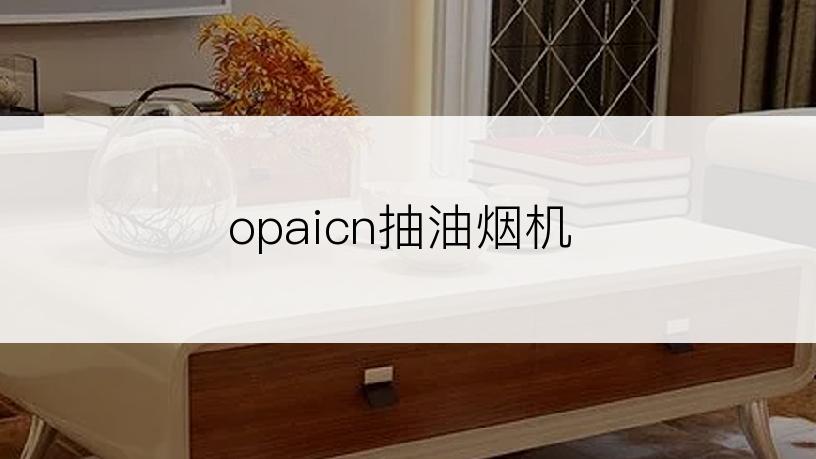 opaicn抽油烟机