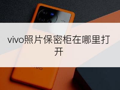 vivo照片保密柜在哪里打开