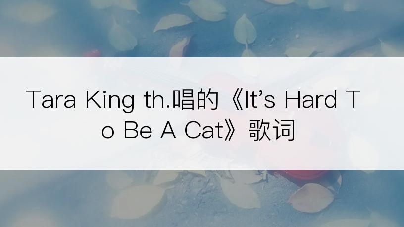 Tara King th.唱的《It's Hard To Be A Cat》歌词