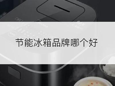 节能冰箱品牌哪个好