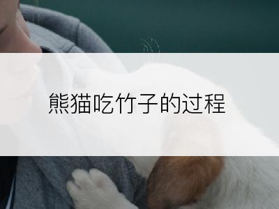 熊猫吃竹子的过程