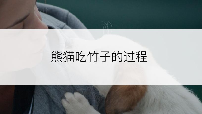 熊猫吃竹子的过程