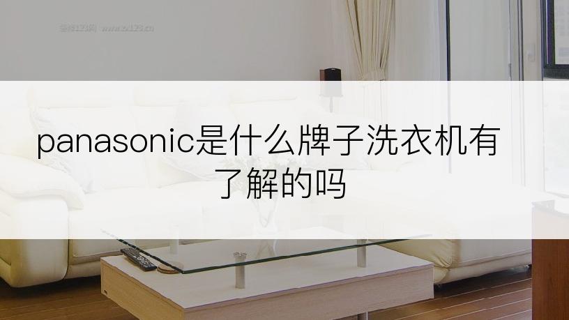 panasonic是什么牌子洗衣机有了解的吗