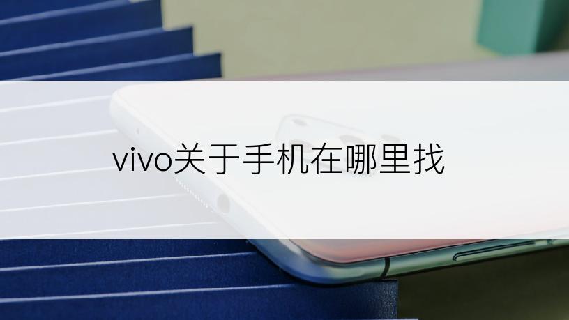 vivo关于手机在哪里找