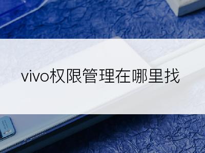 vivo权限管理在哪里找