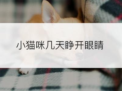 小猫咪几天睁开眼睛