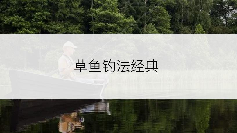 草鱼钓法经典