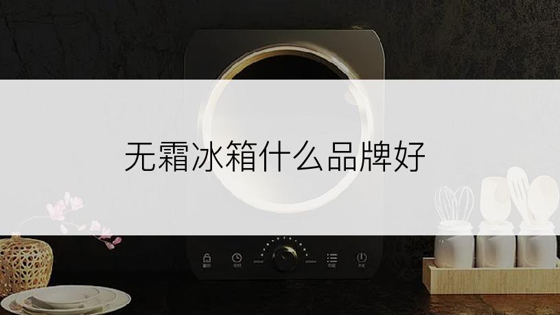 无霜冰箱什么品牌好