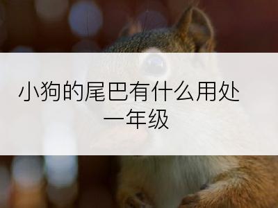 小狗的尾巴有什么用处一年级