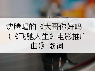 沈腾唱的《大哥你好吗 (《飞驰人生》电影推广曲)》歌词