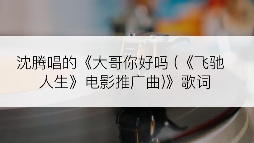 沈腾唱的《大哥你好吗 (《飞驰人生》电影推广曲)》歌词