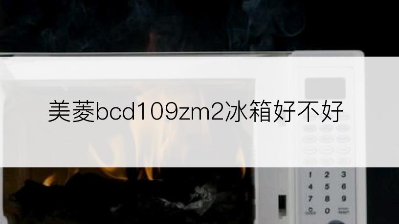 美菱bcd109zm2冰箱好不好