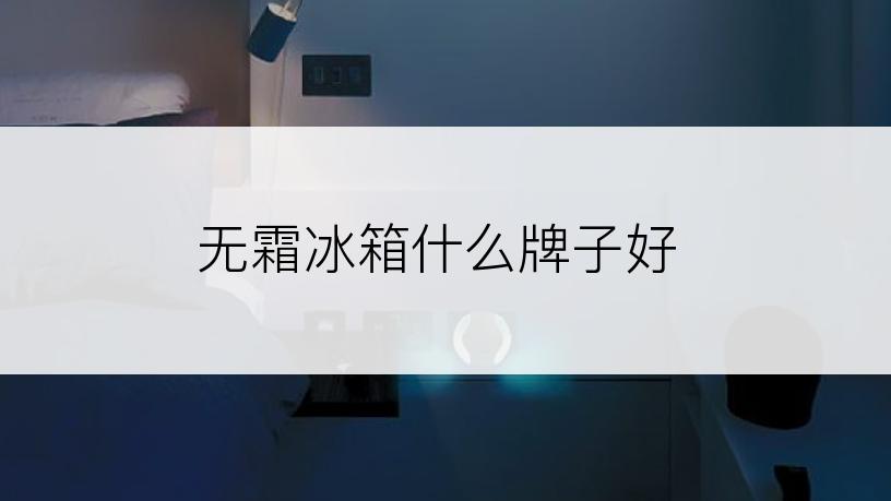 无霜冰箱什么牌子好