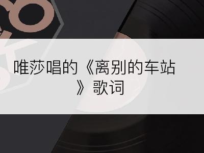 唯莎唱的《离别的车站》歌词