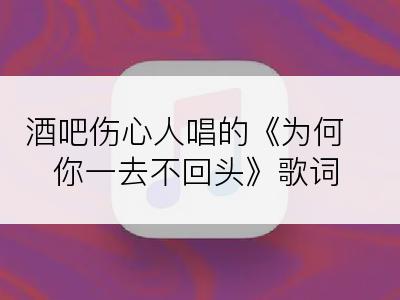 酒吧伤心人唱的《为何你一去不回头》歌词