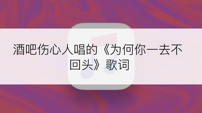 酒吧伤心人唱的《为何你一去不回头》歌词