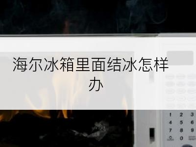 海尔冰箱里面结冰怎样办