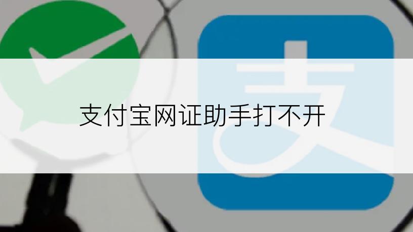 支付宝网证助手打不开