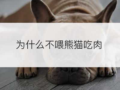 为什么不喂熊猫吃肉