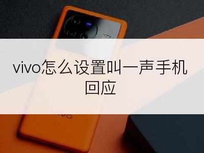 vivo怎么设置叫一声手机回应