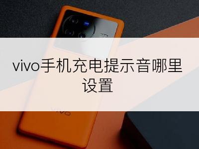 vivo手机充电提示音哪里设置