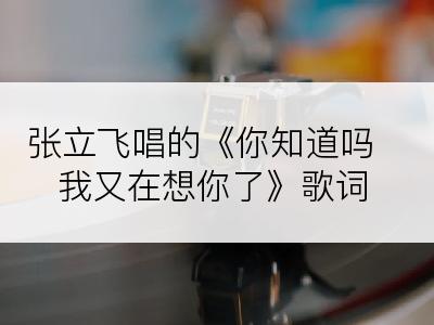 张立飞唱的《你知道吗我又在想你了》歌词