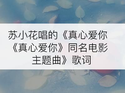 苏小花唱的《真心爱你《真心爱你》同名电影主题曲》歌词