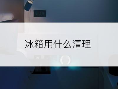 冰箱用什么清理