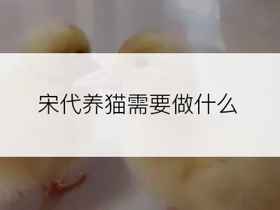 宋代养猫需要做什么