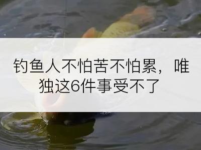 钓鱼人不怕苦不怕累，唯独这6件事受不了