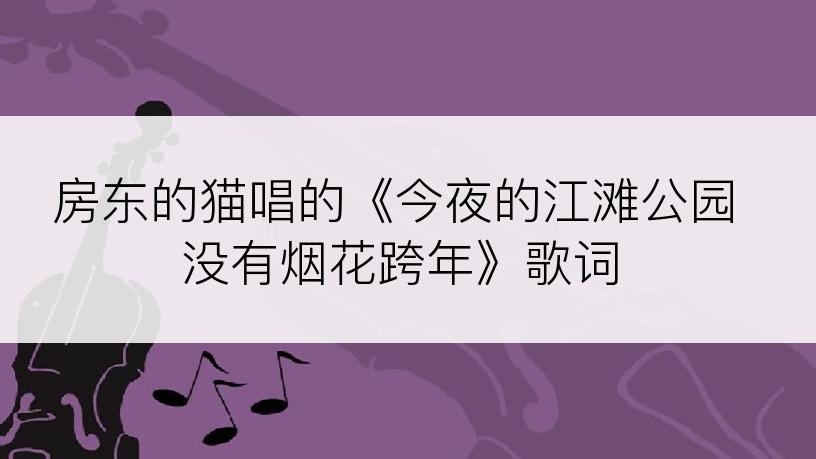 房东的猫唱的《今夜的江滩公园没有烟花跨年》歌词