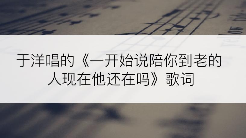 于洋唱的《一开始说陪你到老的人现在他还在吗》歌词