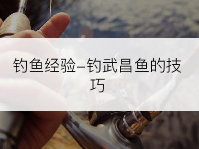 钓鱼经验-钓武昌鱼的技巧